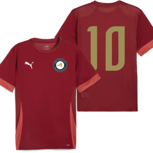 NYEAFC TeamGoal Jersey Maroon