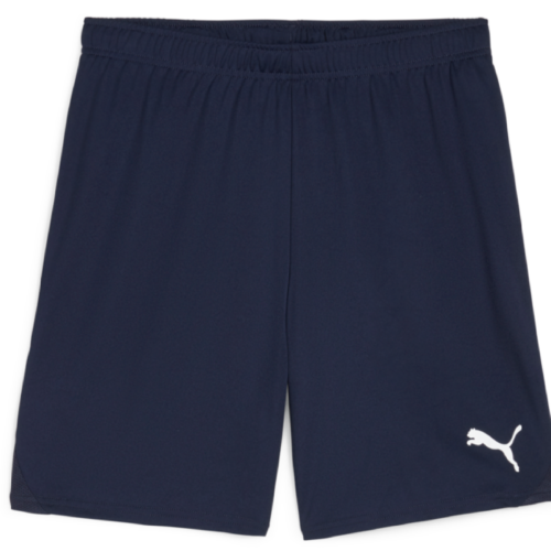 Navy TeamGoal Shorts