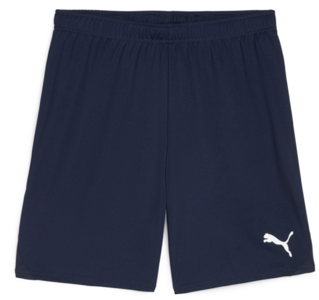 Navy TeamGoal Shorts