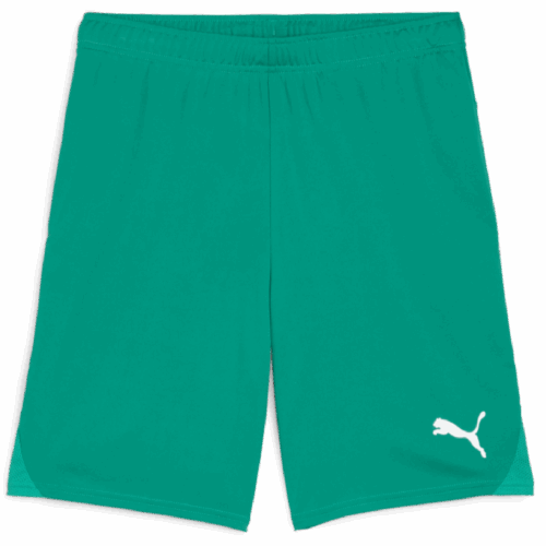 Greenbush TeamGoal Shorts