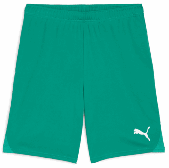 Greenbush TeamGoal Shorts