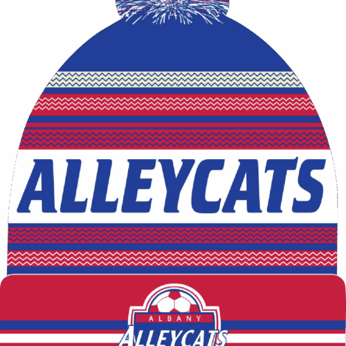 Alleycat Beanie 2025
